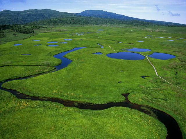 標高850mの高地に広がる湿原