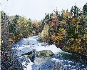 美しい渓流と雄大な紅葉が魅力