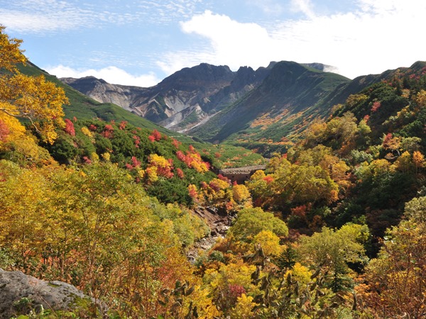 温泉郷の華麗なる紅葉を堪能