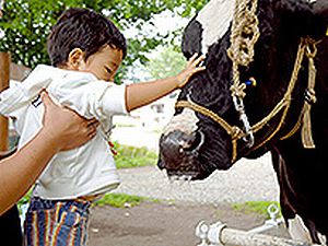 牧場ならではの思い出づくりに！