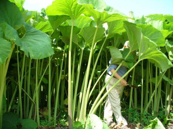 北海度自然遺産にも認定