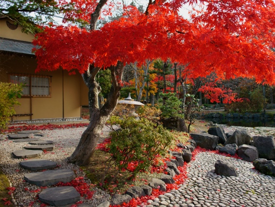 中島には本格的な茶室もある