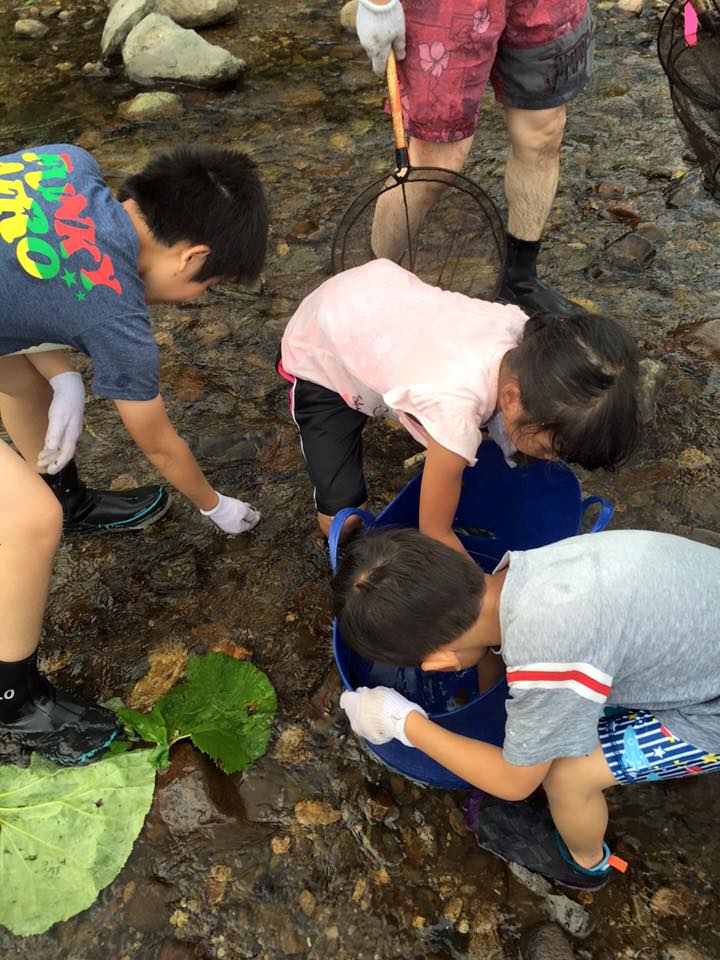 子どもたちは魚つかみに夢中!