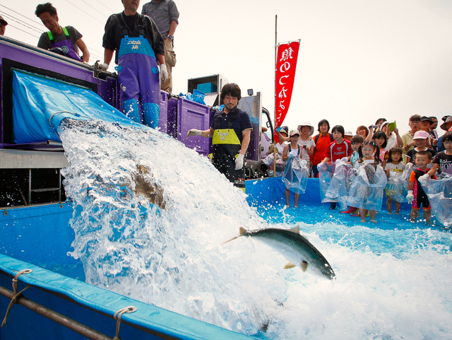 魚のつかみ取りにチャレンジ!