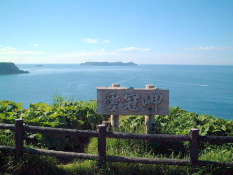 心癒される景色が広がります
