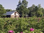 敷地内に坂本直行の展示棟が点在