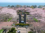 オニウシ公園はメイン会場に隣接