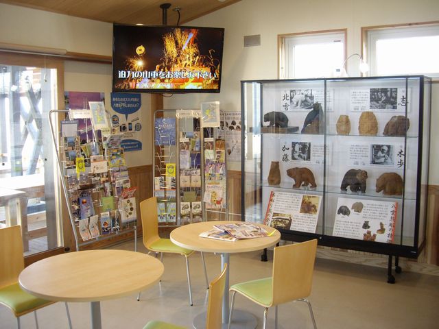 観光パンフレットや木彫熊も展示