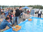 人気の「ホタテフリスビー」