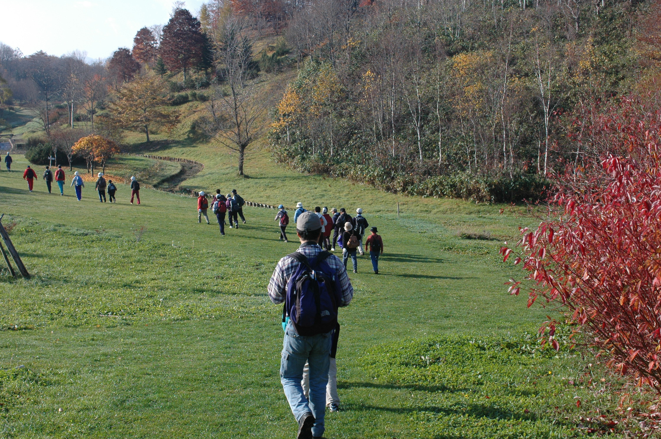 初心者向けのイベントも好評