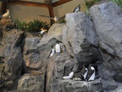 臨場感たっぷりのジオラマは必見