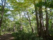 17種類の散策コースを整備
