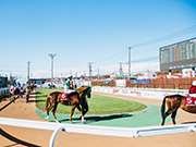 まずはパドックで馬の選定!