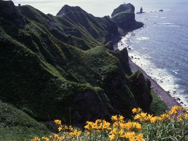 遊歩道を歩いて約20分で突端へ