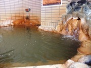 国内でも珍しい炭酸重曹泉