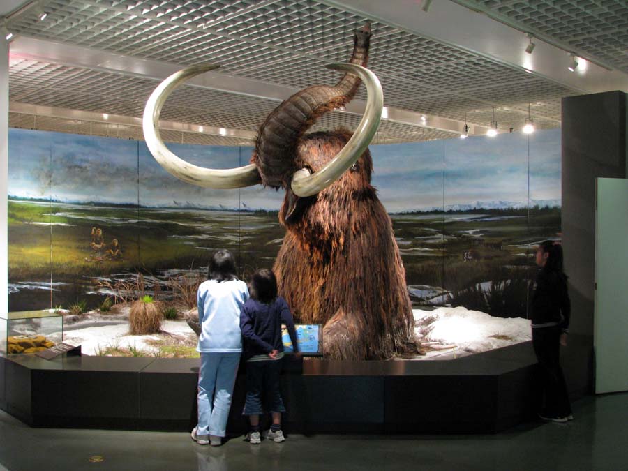 マンモスがいた氷河期風景を再現