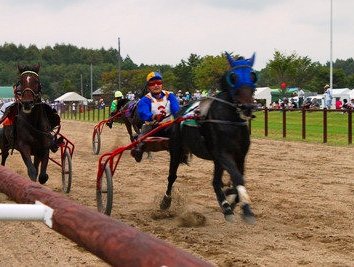 馬事競技大会は、迫力満点！