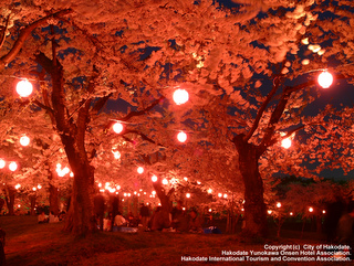 酒宴も賑やかな夜の五稜郭公園