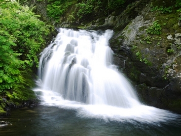 林道から間近に見られる女神の滝