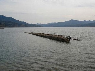 水位によって姿を消す「幻の橋」