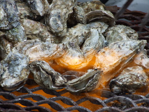 炭火で焼き上げた牡蛎は格別!