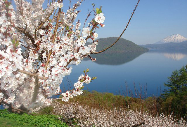 ニセコ連峰まで展望できる日も