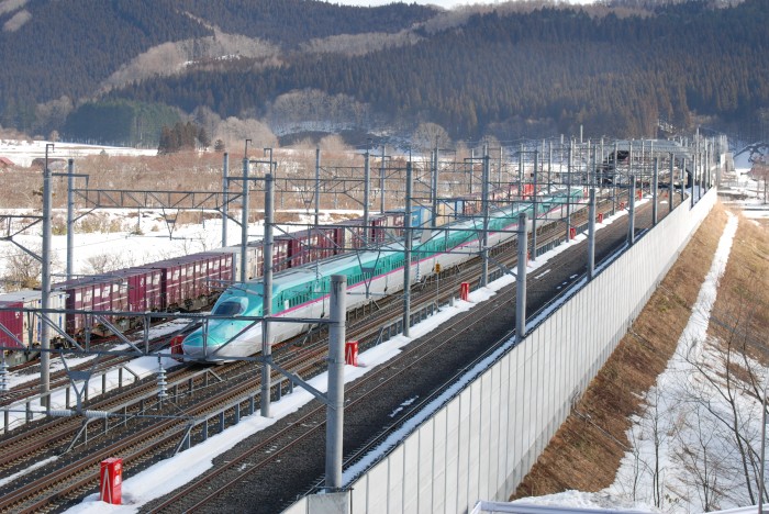 貨物列車と新幹線のコラボ