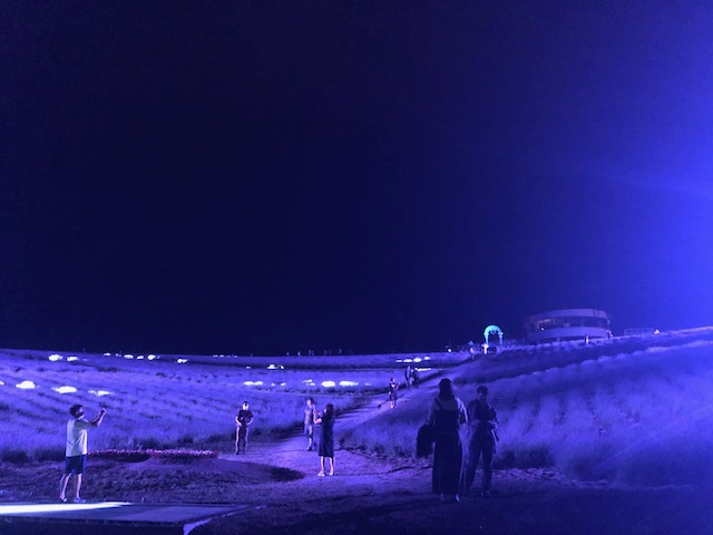 幻想的な風景が広がる