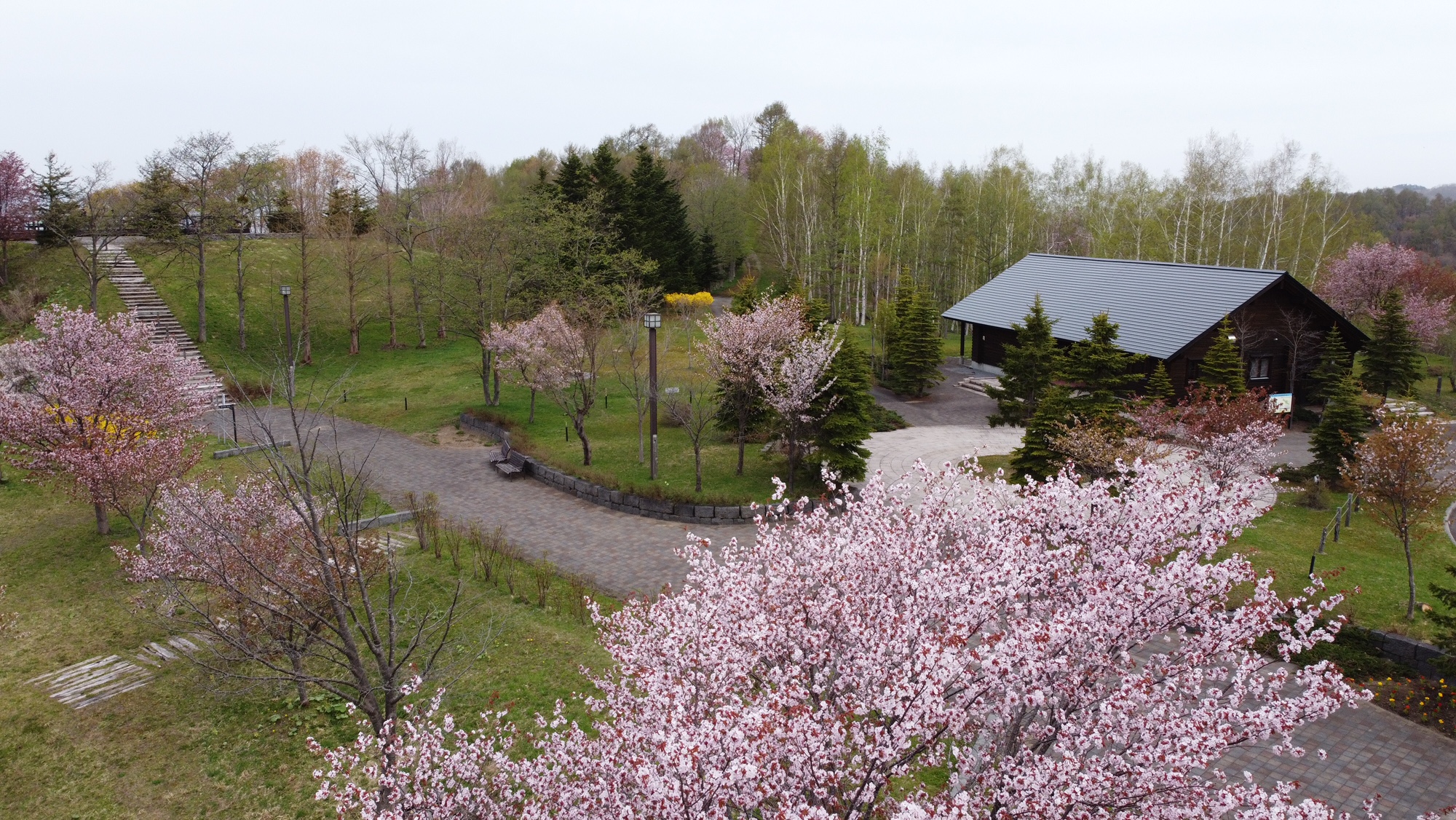 センターハウス付近