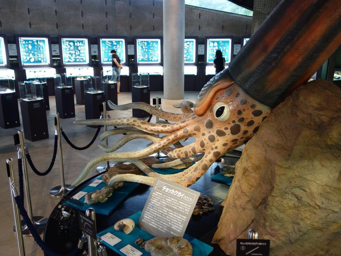全長5mのチョッカク貝復元模型