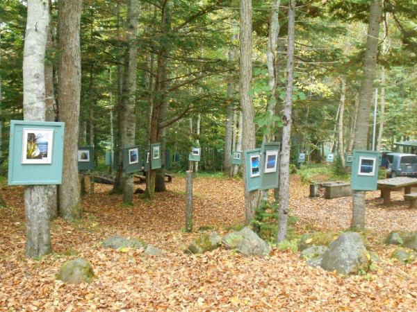 フォトコンテスト「森の美術館」