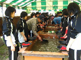 気軽で確実な水槽の中での体験