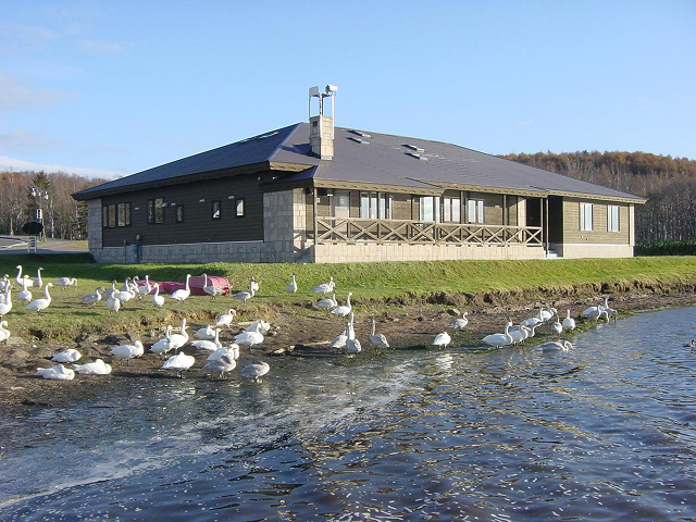 大沼の水鳥観察館で野鳥観察