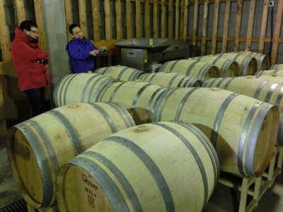 工場見学では醸造設備が間近に！