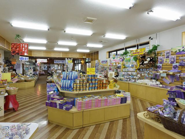 ガイドと見学するジオツアーも