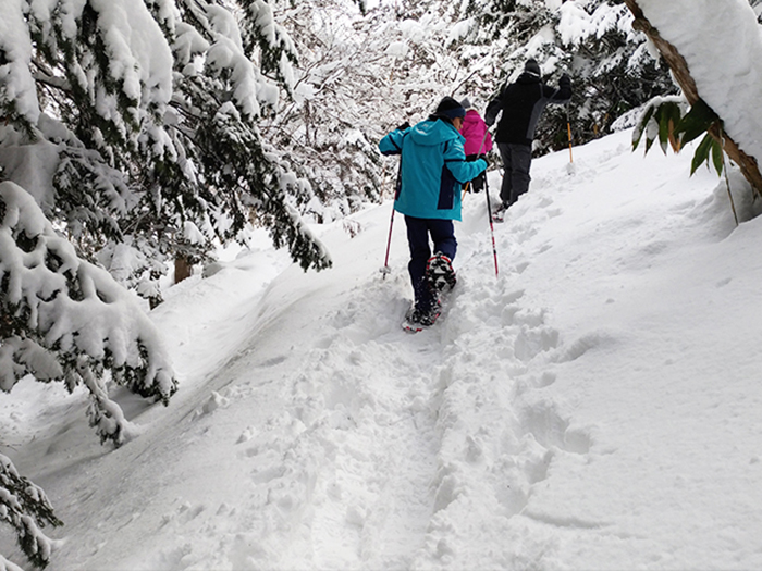 静寂につつまれた銀世界を散策