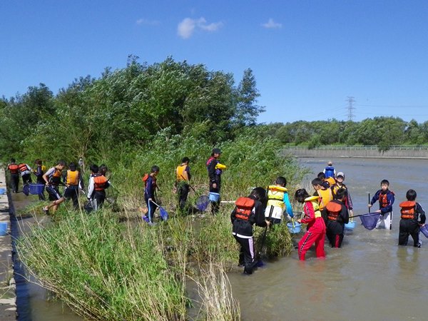 水辺の生き物を調べるプログラム