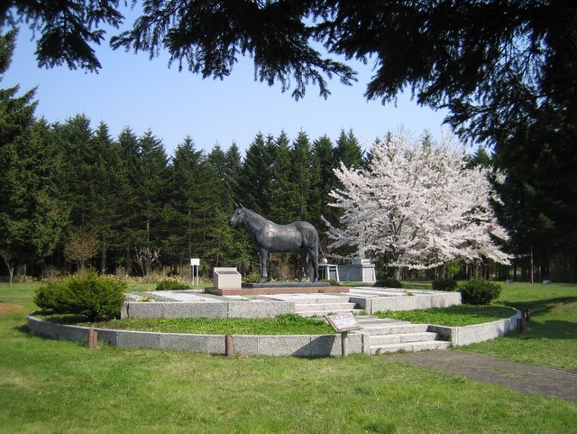 功労馬の石碑がある桜舞馬公園