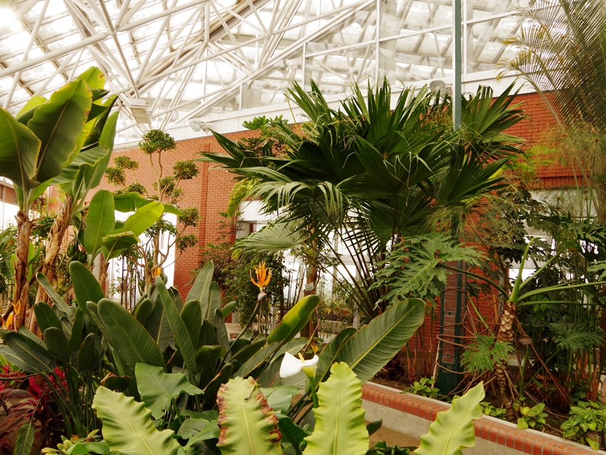 南国植物温室