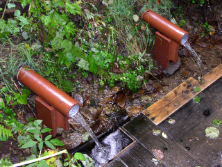 仁字布の冷水は、ミネラルが豊富