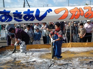 あきあじつかみどりは先着150