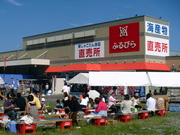 ツブ塩辛など加工品もおすすめ！