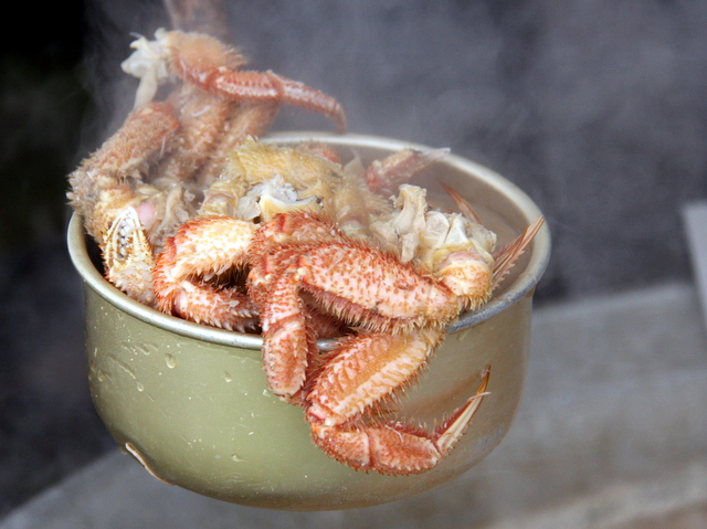 枝幸のカニを存分に満喫できる