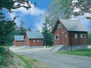 寒い時期はログキャビンがお薦め