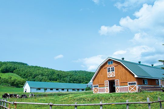 北海道らしい田園風景