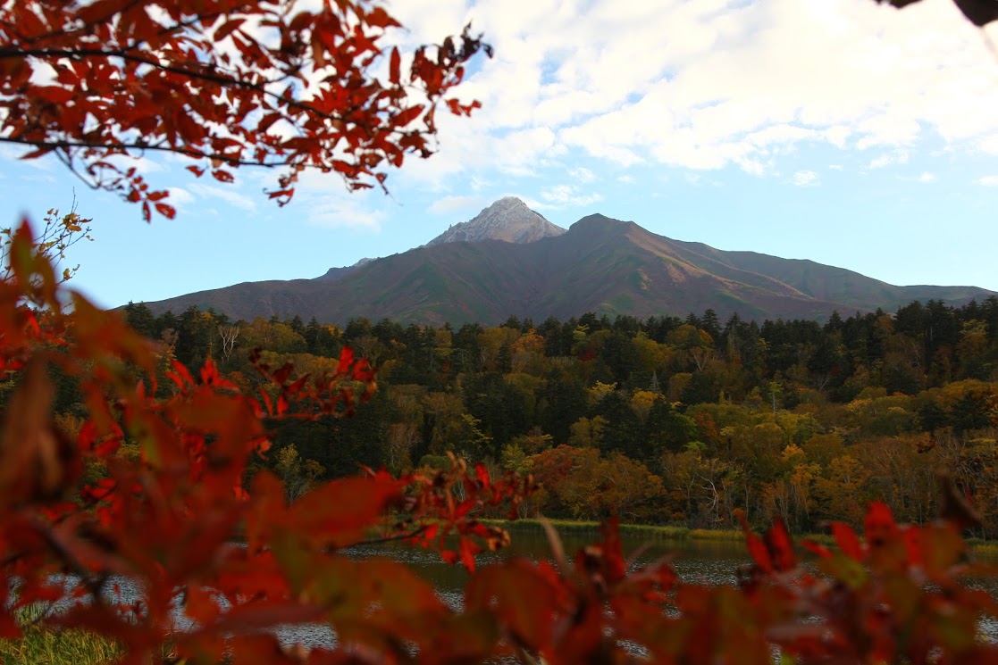 秋には紅葉がきれいです