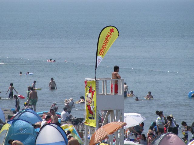 監視も徹底され安心