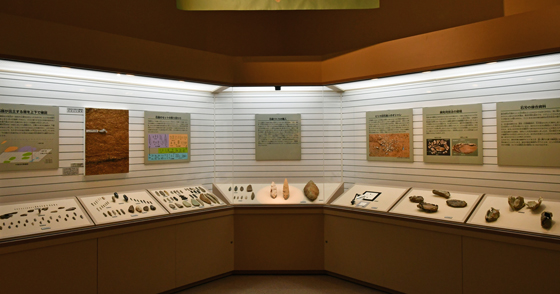 重要文化財展示室